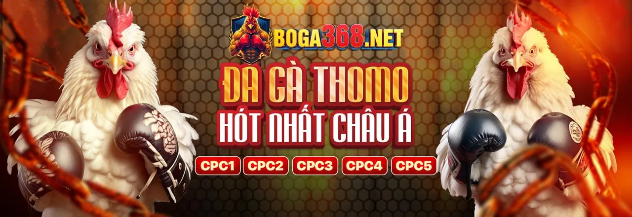 Đa dạng các môn thể thao tại new88011 login